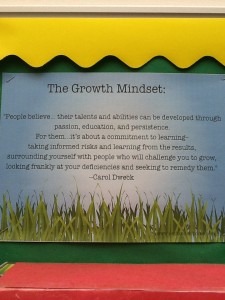 growth mindsets